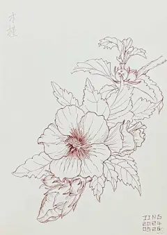 张张 - 小红书