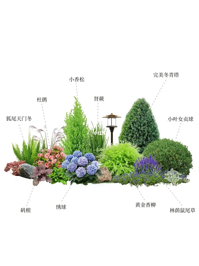 炎热夏季小花镜植物搭配·省心低维护太绝啦