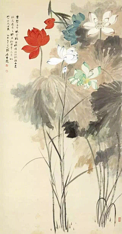 LULUG采集到莲花.综合