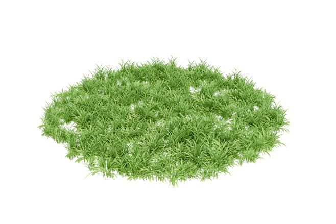 grass 04 copy