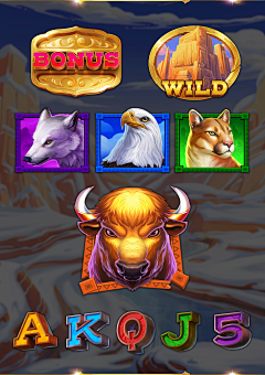 茜之塔12138采集到slot-美国