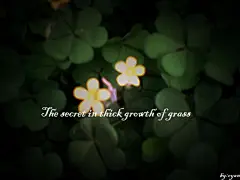 cyan盒筱饭  的插画 三叶草