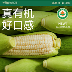7tTPDtPT采集到直通车氛围