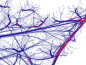 visualcomplexity.com | Force-Directed Edge Bundling for Graph Visualization