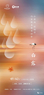 24节气 白露