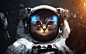 Brave cat astronaut