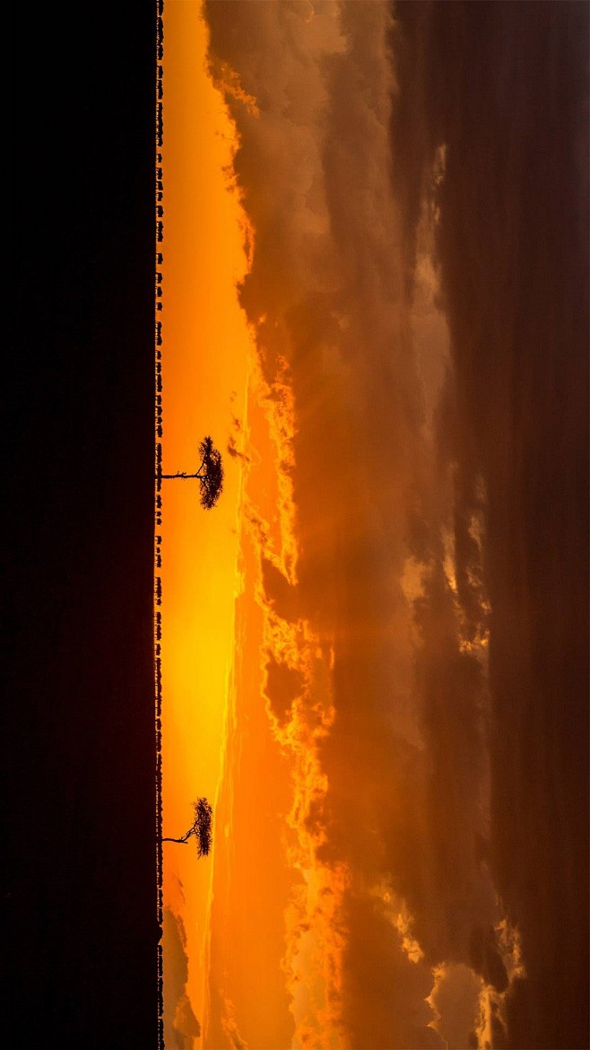 日落时分正在迁徙的斑纹角马群，肯尼亚马赛...