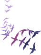 b57a0f7a3c1abcf8cf8fbee0a5875927338bf37910326-Er3KFj_fw1200