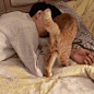 71021e17gy1fhjoo81tqrg207s07su0x.gif (280×280)
