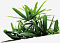 绿色植物草坪png免抠素材_新图网 https://ixintu.com 绿色 植物 草坪