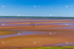 批评海景