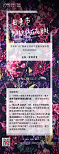 金科华南野兽派活动h5