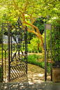 【庭院元素】花园入口大门款式参考150例--铁艺篇