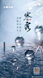 二十四节气寒露借势海报【品牌】
