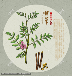 っ煴煖苜艮眸デ采集到花草
