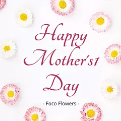 Minimalist Mother's Day Furniture Promotion Ecommerce Product Image