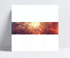 唯美花瓣淘宝女装banner壁纸|banner,女装banner,落叶,素材,金秋,标签,店铺,女装,全屏海报,电商模板