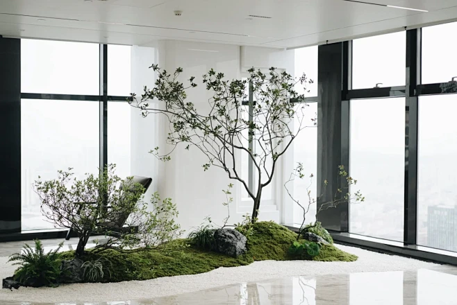 室内植物造景｜青岛海岛春花组合景观