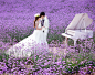中国婚博会_2012上海婚纱摄影节-上海婚纱摄影名店云集