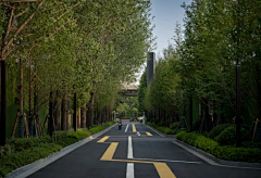 陆qqqqqqqqq采集到道路