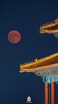 盈满人尽望，秋影转金波