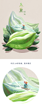 6321@小文创意   【设计学习群2314619】冬至 水果里的二十四节气（下） 猫与婵 作品 