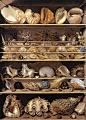 Leroy de Barde, A Selection of Shells Arranged on a Shelf, watercolor and gouache, 1803.: 