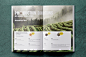 新会普洱养生手册 | 茶叶画册提案-古田路9号-品牌创意/版权保护平台