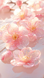 招 桃花 壁纸分享 - 小红书