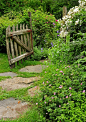 A New England Garden Walkway