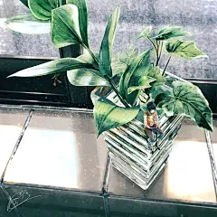 &lt; くつろぎの時間 &gt; (  ふすい )#pixiv http://www.pixiv.net/member_illust.php?illust_id=57249536&amp;mode=medium动漫 萌妹子 高清  萌 小清新  傲娇 百合 男头 女头 头像 萝莉 二次元 自截 男头 女头 情头 唯美 意境  暖色系 长发 短发 长裙 短裙 眼睛  暗黑系 堕落 插画 手绘 封面 眼镜娘 兽耳 少女 兔耳 吃货 花 精灵  涂鸦 版画 油画 色彩 水彩 手绘 绘画 素描 动漫 可爱 素色