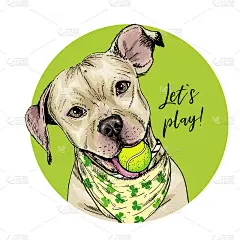 向量肖像的比特斗牛犬狗与网球。让年代戏。绿色的弧线球。夏天的卡通插图。手绘宠物肖像。海报，t恤印花，