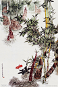 版纳印象
