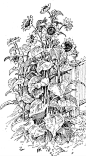 Coloring for adults-kleuren voor volwassenen