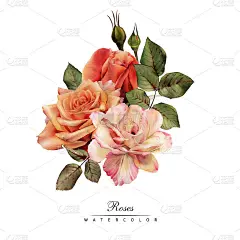 玫瑰花束，可作为贺卡、婚礼请帖、生日请帖等节假日和夏季背景