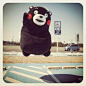 kumamon～～～