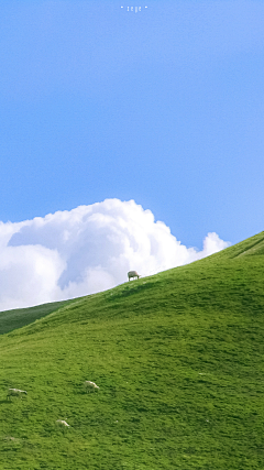 李爷爷~采集到无人自然景