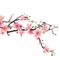 粉色桃花 花朵 桃花 樱花