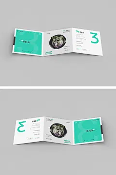 宣传册邀请函贺卡画册海报折页样机