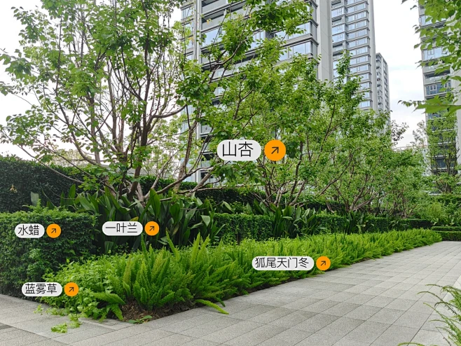 『考察日记』乔木阵列+规则型灌木地被 - 小红书-花瓣网