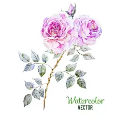 免扣漂亮水彩花卉婚礼请柬矢量素材(7)