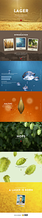 The Beauty of Brewing,来源自黄蜂网http://woofeng.cn/