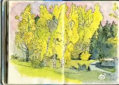 法国漫画家Grégoire Carlé在脸书上的部分水彩写生，很早之前偶然在漫画书店中读到他的漫画，尽管法语不好但一口气全买了，他的线条有种说不清的画味儿 ​​​​