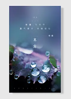 嫋嫋凉风动凄凄寒露零寒露寒露寒露海报