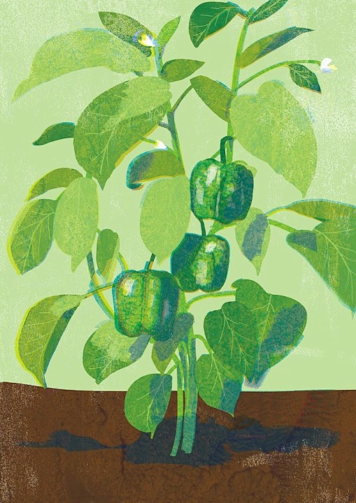 Tatsuro Kiuchi on Be...