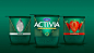 法国益生菌酸奶品牌Activia提升形象和包装设计