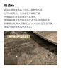 顶冠超晶石大理石圆形餐桌带转盘轻奢悬浮可定制岩板大户型圆餐台-tmall.com天猫