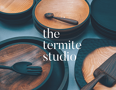 The termite studio