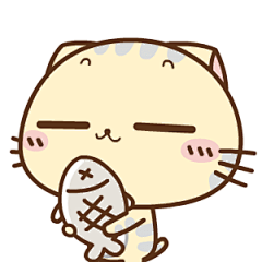 cc猫图片大全-cc猫高清好看的图片--花瓣绮妗的画板