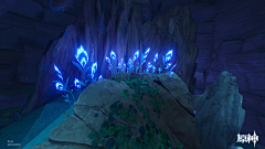 muze0000采集到植物